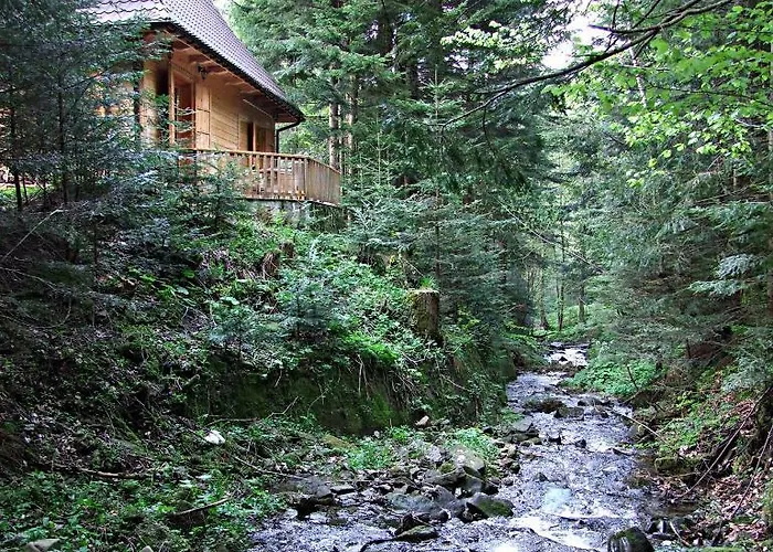 木屋 Dom Nad Potokiem 扎沃亚